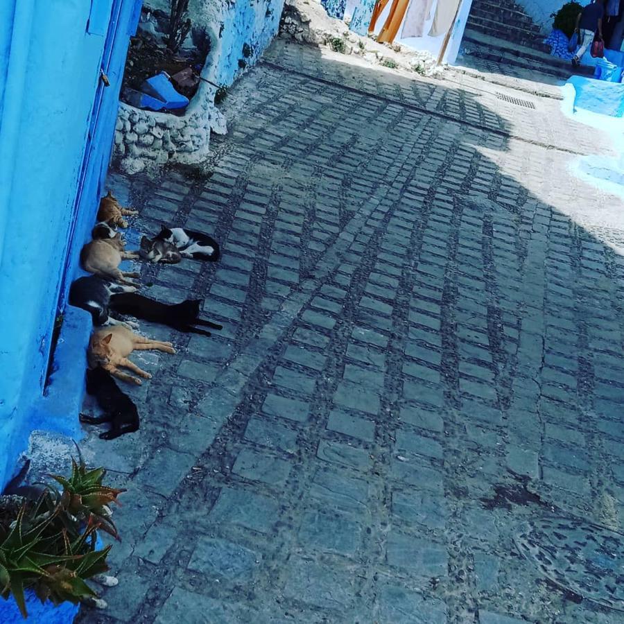 Appartamento Casa Mablu Chefchaouen Esterno foto